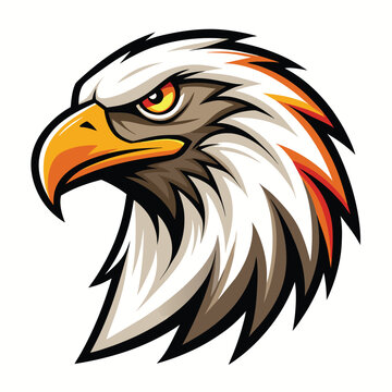 recommend clip art: Cartoon illustration of a bald eagle head in profile, featuring a white head with brown feathers and a bright yellow beak.