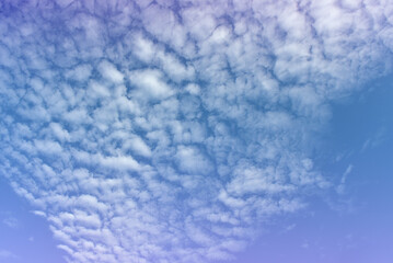 Pastel Colorful sky and cloud white. Beautiful afternoon bule sky and cloud white