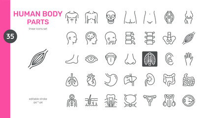 Human Body Parts Vector Icons Set. Anatomy Illustrations of Organs, Bones, Muscles, and Body Systems. Editable Linear Collection.