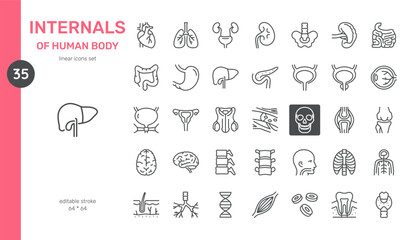 Internals of Human Body Icons Set. Detailed Linear Icons of Organs and Systems Including Heart, Lungs, Kidney, Liver, Stomach, Intestines, Brain, Skeleton, Muscles, and More. Editable Vector