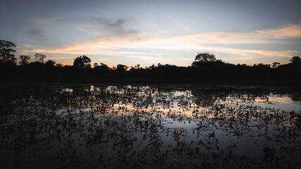 Sunset in Pantanal