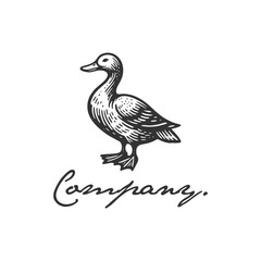 vintage design logo duck hand drawn vector illustration