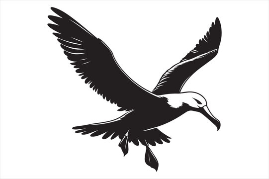 recommend clip art: Albatross Vector silhouette image