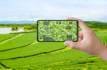 Agriculture technology with smart farm connect to mobile phone