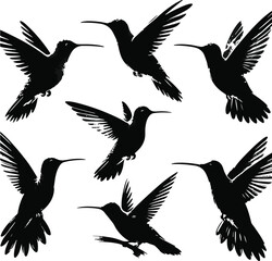 Obraz premium Hummingbird Silhouettes set