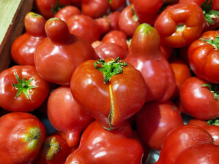 Big red shiny tomatoes on the store shelf.