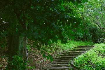 fancy stairs in a park in a rainy day, background plate