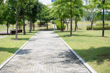 Park with trees and grass and sidewalk blocks for walking

