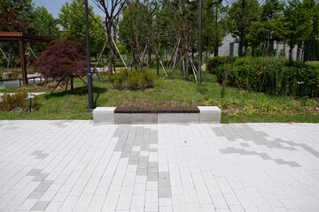 Fototapeta premium Park scenery with trees and benches 