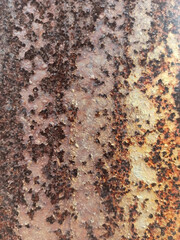 Rusty metal background. Rusted metal texture. Rusty metal background