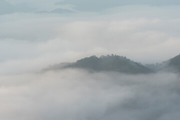 広島市荒谷山から見える雲海