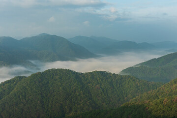 Fototapeta premium 広島市荒谷山から見える雲海