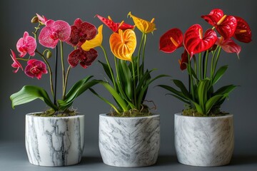 A trio of sleek and modern white marble pots filled with vibrant orchids, anthuriums, and lilies,...