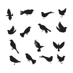 Birds Silhouette Collection: High-Quality Vector Illustrations for Design.
