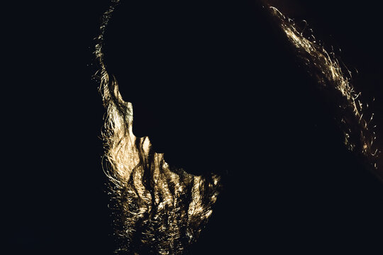 MAN WITH LONG HAIR SILHOUETTE BACKLIT