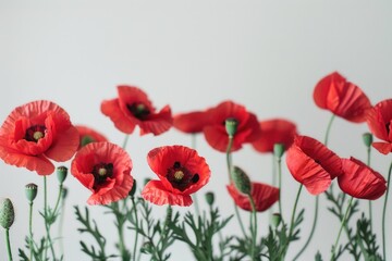 Fototapeta premium Red Flowers in Vase