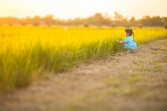 baby girl with happy time on freedom in emotional in outdoor by sit play on grasses floor in rice fields blue dress