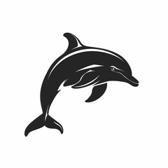 dolphin isolated on white background