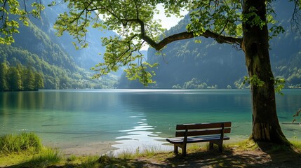Fototapeta premium A serene lakeside spot with a bench and a clear view.