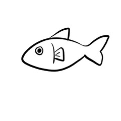 fish isolated on white