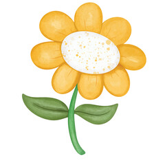 Chamomile and daisy flower