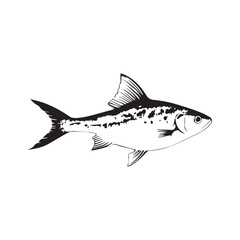 Fish silhouette white vector illustration.
