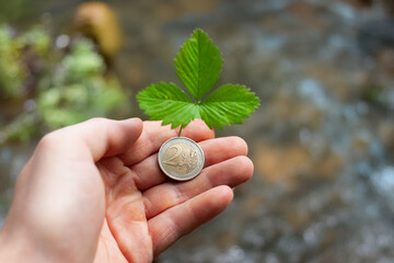 Euro coin held in hand. Green plant symbol for growth.
