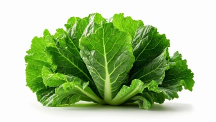  Fresh and vibrant green leafy vegetable