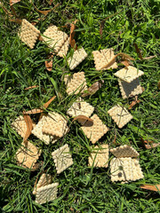 Biscuits in the grass area outdoor