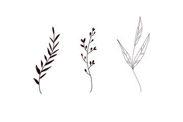 Set botanical arts. Hand drawn continuous line drawing of abstract flower, floral, herb. Vector line art illustration.