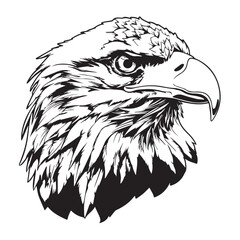 eagle on a white background line art for logo prints coloring for kids