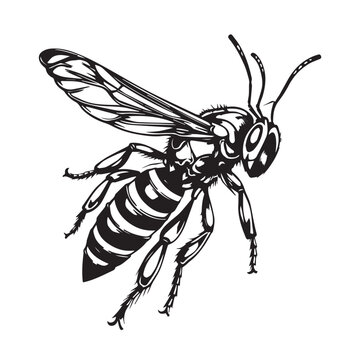 black and white wasp flying clip art preview