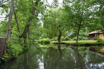 Fototapeta premium Exploring Lubbenau/Spreewald
