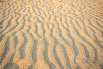 鳥取砂丘の美しい風景Beautiful scenery of Tottori Sand Dunes in Japan