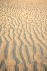 鳥取砂丘の美しい風景Beautiful scenery of Tottori Sand Dunes in Japan