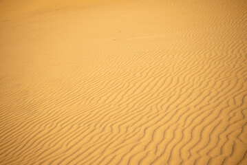 鳥取砂丘の美しい風景Beautiful scenery of Tottori Sand Dunes in Japan