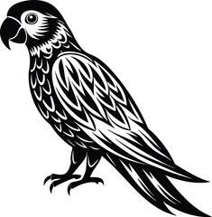 illustration of a bird