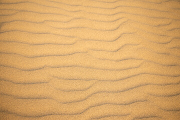 鳥取砂丘の美しい風景Beautiful scenery of Tottori Sand Dunes in Japan