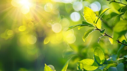 Obraz premium Serene spring meadow backdrop, promoting ecological balance and wholesome living.