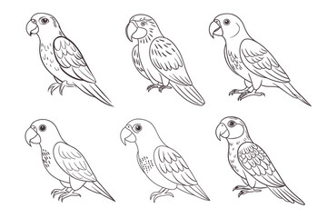 Set of linear drawings of tropical parrots, sketch. Line art for coloring book, decorative elements, vector