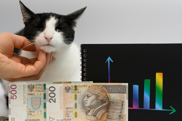 Kot domowy siedzi obok papierowych banknotów i wykresu slupkowego © Paweł Kacperek