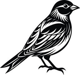 bird on a branch