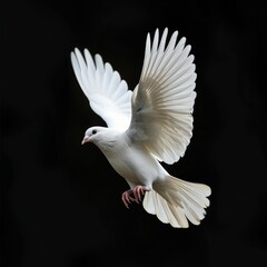 Obraz premium A white bird soars through the air, its wings spread wide