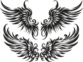 black and white wings