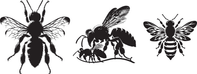 bee silhouette set collection isolated black on white background vector illustration