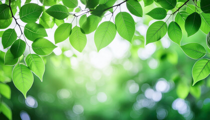 新緑の葉っぱと木漏れ日,Generative AI ,AI画像