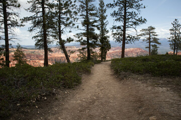 View on rock formations Bryce Canyon National Park, Utah - USA