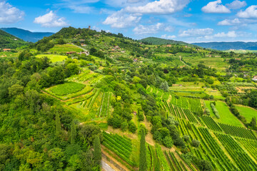 Aerial view of Franciacorta vineyards, Brescia province, Lombardy district, Italy.