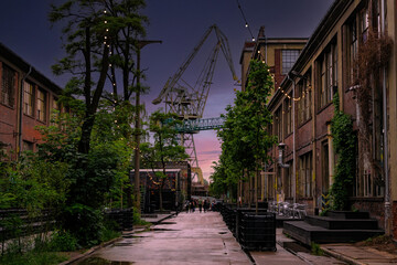 High cranes in the Gdańsk Stocznia, old shipyard and recreation area