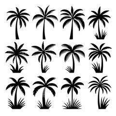 Palm tree set vector illustration isolated on white background